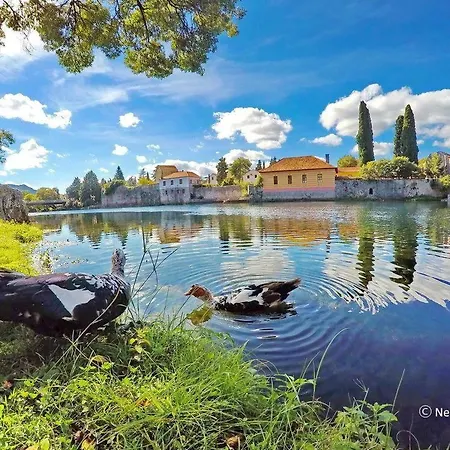 Nina * トレビニエ